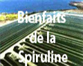 La spiruline et la santé La spiruline et la santé