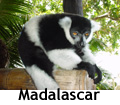 www.madalascar.fr, histoires, anecdotes, brèves de Madagascar