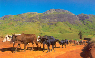 Hauts Plateaux Madagascar